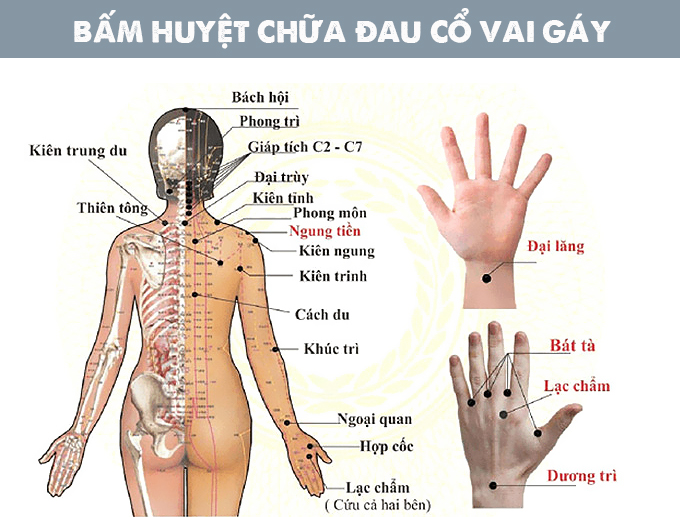 cach-bam-huyet-chua-dau-vai-gay